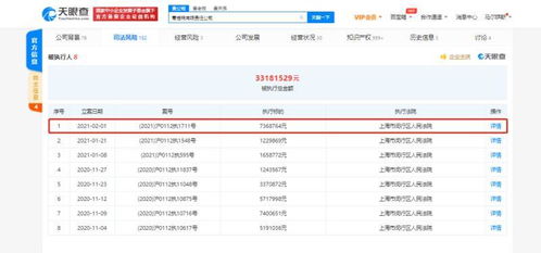 蛋殼公寓關(guān)聯(lián)公司再遭執(zhí)行，信息技術(shù)背后的租賃風(fēng)波